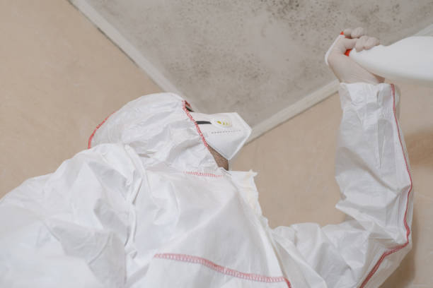Best Mold Testing  in Spencer, IA