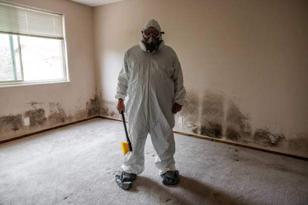 Best Mold Inspection  in Spencer, IA